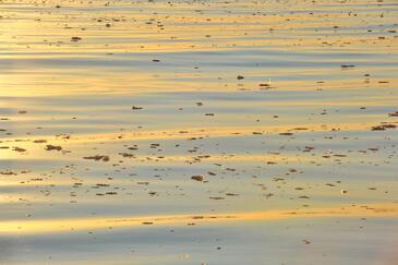 Midnight Sun, Northeast Greenland. © Etienne Pierart.